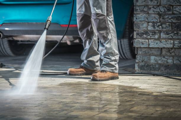 Best Roof Cleaning and Mildew Removal in Baden, MD